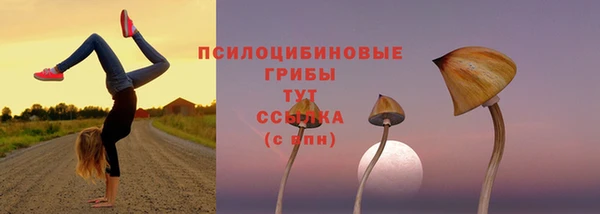 мяу мяу мука Алексин