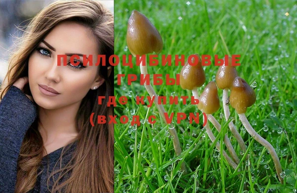 эйфоретик Покачи