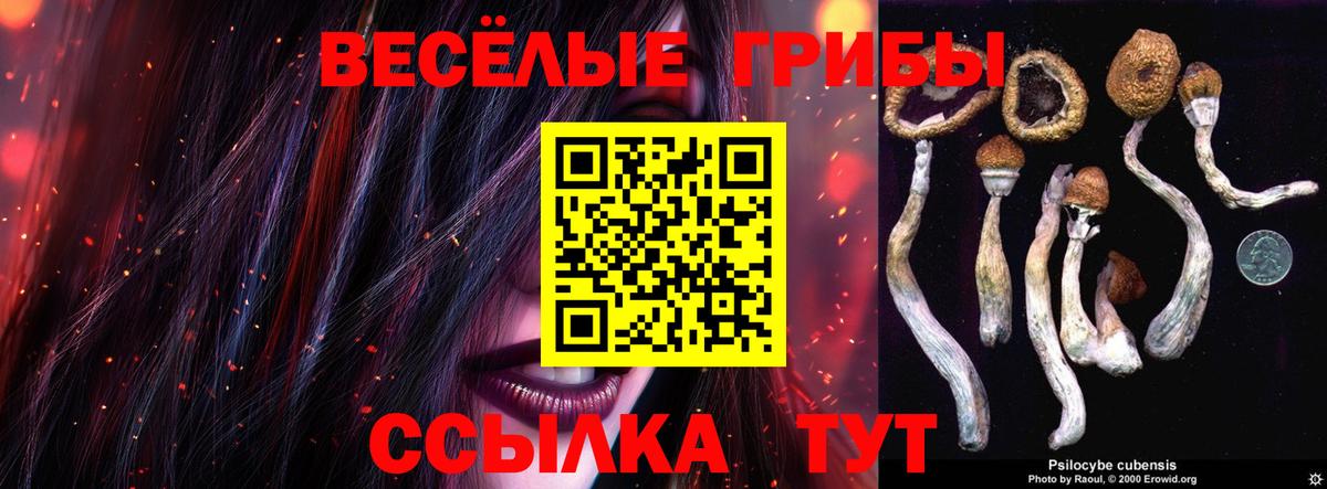 Псилоцибиновые грибы Psilocybe  Псилоцибиновые грибы ЛСД  Вход с VPN  Карачаевск 