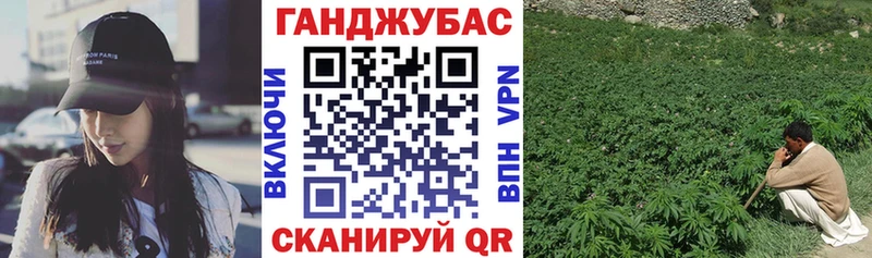 наркотики  Карачаевск  Бошки марихуана план 